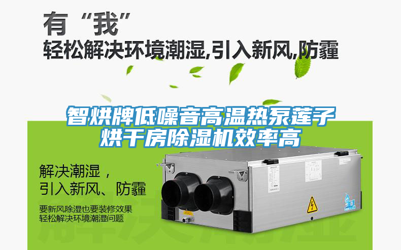 智烘牌低噪音高溫?zé)岜蒙徸雍娓煞砍凉駲C(jī)效率高