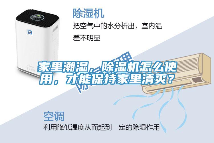 家里潮濕，除濕機怎么使用，才能保持家里清爽？