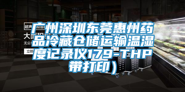 廣州深圳東莞惠州藥品冷藏倉儲運輸溫濕度記錄儀179-THP帶打印）