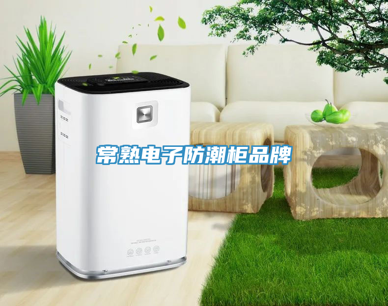 常熟電子防潮柜品牌