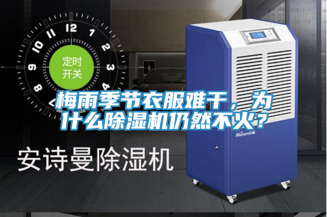 梅雨季節(jié)衣服難干，為什么除濕機仍然不火？