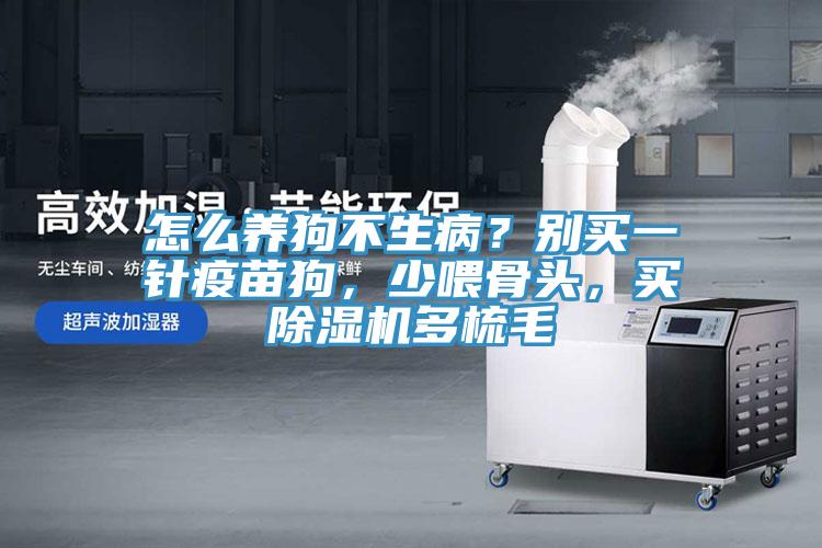 怎么養(yǎng)狗不生??？別買(mǎi)一針疫苗狗，少喂骨頭，買(mǎi)除濕機(jī)多梳毛