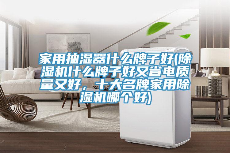 家用抽濕器什么牌子好(除濕機(jī)什么牌子好又省電質(zhì)量又好，十大名牌家用除濕機(jī)哪個(gè)好)