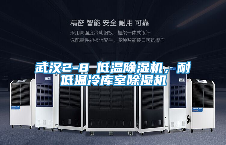 武漢2-8℃低溫除濕機(jī)，耐低溫冷庫(kù)室除濕機(jī)