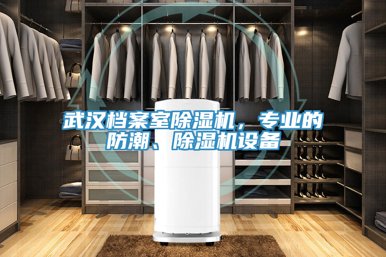 武漢檔案室除濕機(jī)，專(zhuān)業(yè)的防潮、除濕機(jī)設(shè)備
