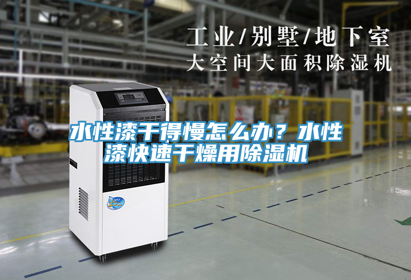 水性漆干得慢怎么辦？水性漆快速干燥用除濕機(jī)