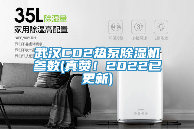 武漢CO2熱泵除濕機(jī)參數(shù)(真贊！2022已更新)