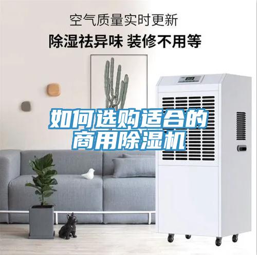 如何選購(gòu)適合的商用除濕機(jī)