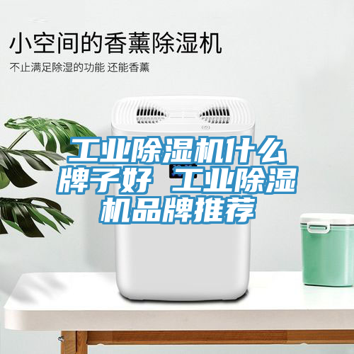 工業(yè)除濕機什么牌子好 工業(yè)除濕機品牌推薦