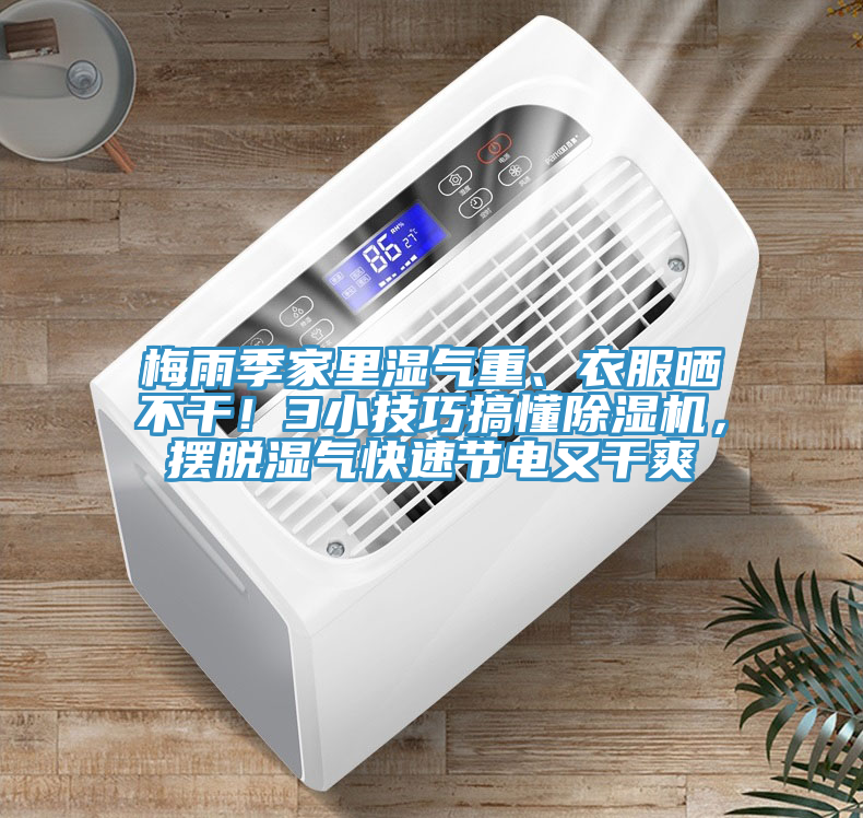 梅雨季家里濕氣重、衣服曬不干！3小技巧搞懂除濕機(jī)，擺脫濕氣快速節(jié)電又干爽