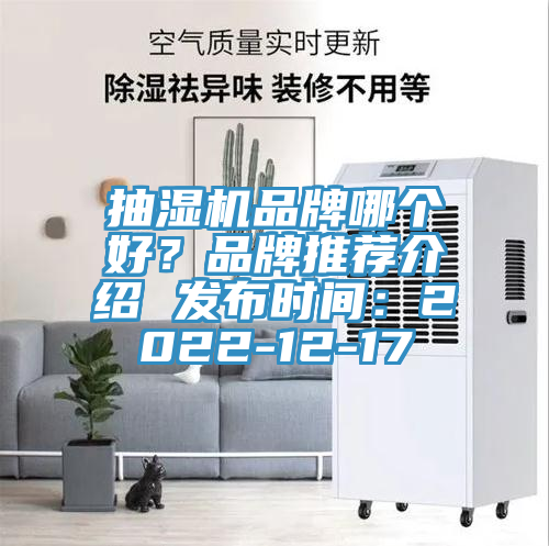 抽濕機(jī)品牌哪個好？品牌推薦介紹 發(fā)布時間：2022-12-17