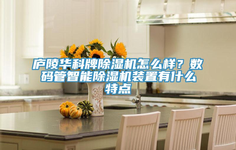廬陵華科牌除濕機(jī)怎么樣？數(shù)碼管智能除濕機(jī)裝置有什么特點(diǎn)
