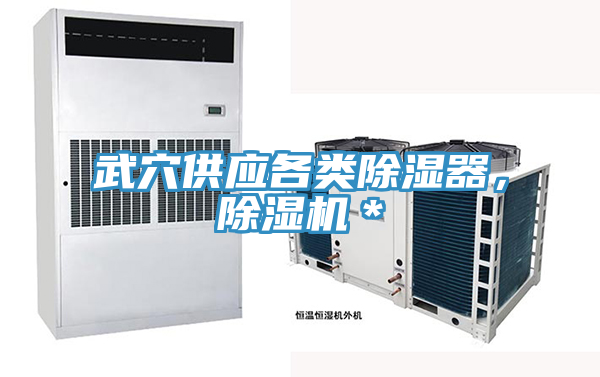 武穴供應(yīng)各類除濕器，除濕機(jī)＊
