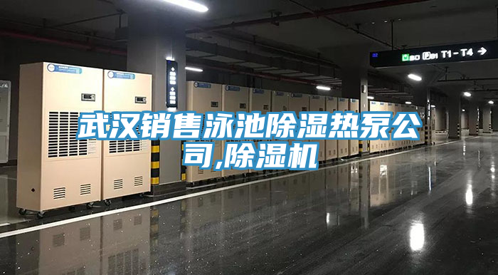 武漢銷售泳池除濕熱泵公司,除濕機(jī)