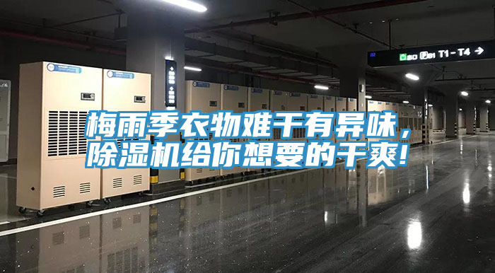 梅雨季衣物難干有異味，除濕機給你想要的干爽!
