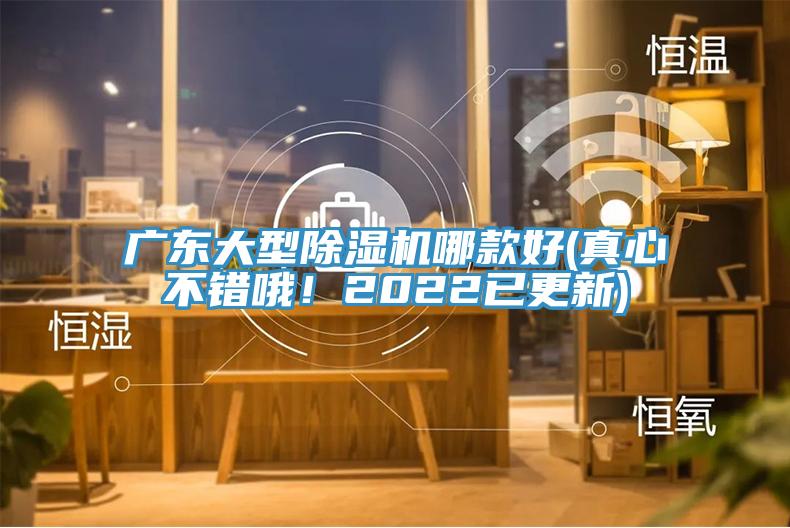 廣東大型除濕機(jī)哪款好(真心不錯(cuò)哦！2022已更新)