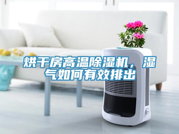 烘干房高溫除濕機(jī)，濕氣如何有效排出