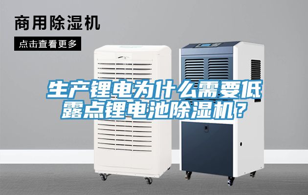 生產(chǎn)鋰電為什么需要低露點鋰電池除濕機？