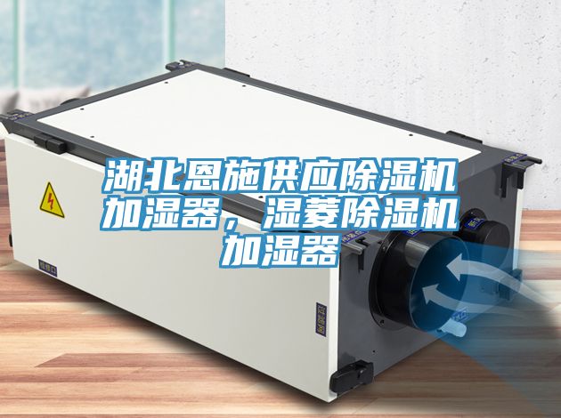 湖北恩施供應(yīng)除濕機(jī)加濕器，濕菱除濕機(jī)加濕器