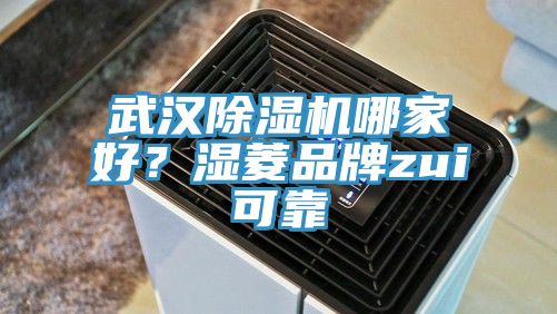 武漢除濕機(jī)哪家好？濕菱品牌zui可靠