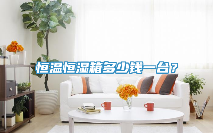 恒溫恒濕箱多少錢(qián)一臺(tái)？