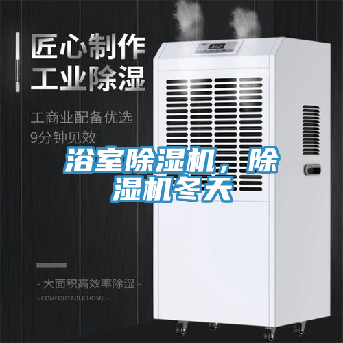 浴室除濕機，除濕機冬天