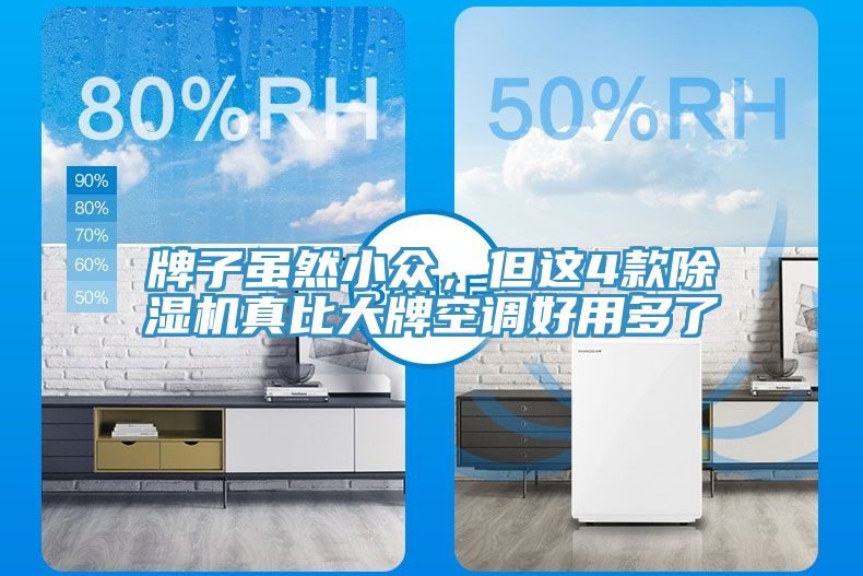 牌子雖然小眾，但這4款除濕機(jī)真比大牌空調(diào)好用多了