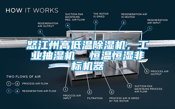 怒江州高低溫除濕機(jī)，工業(yè)抽濕機(jī)  恒溫恒濕非標(biāo)機(jī)器