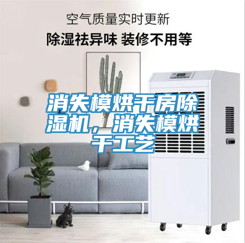 消失模烘干房除濕機(jī)，消失模烘干工藝