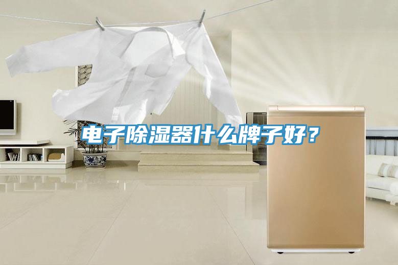 電子除濕器什么牌子好？