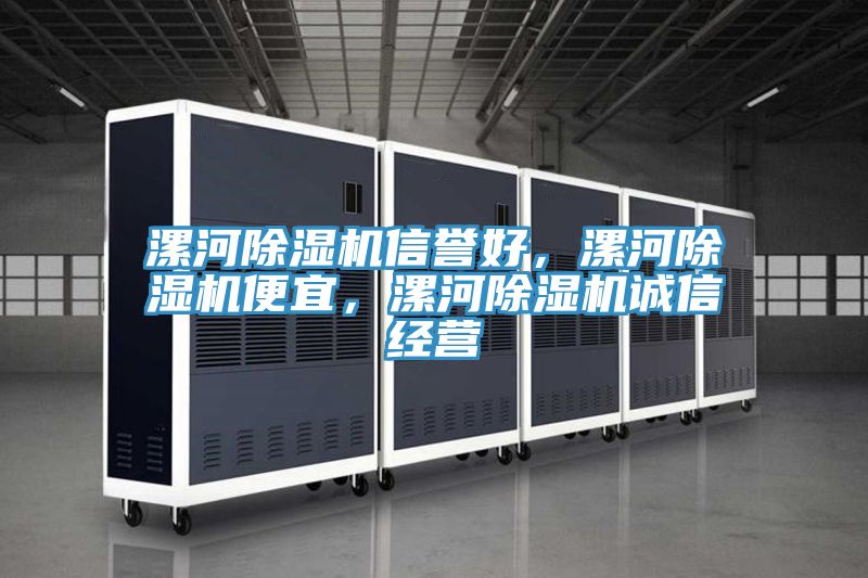 漯河除濕機(jī)信譽(yù)好，漯河除濕機(jī)便宜，漯河除濕機(jī)誠(chéng)信經(jīng)營(yíng)