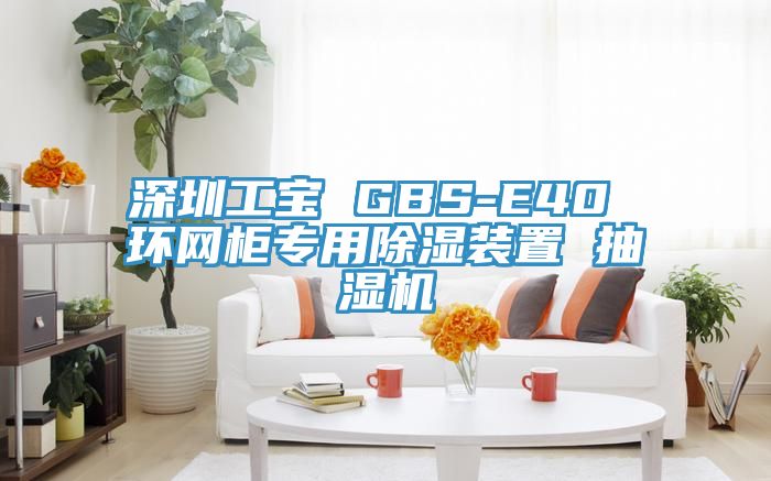 深圳工寶 GBS-E40 環(huán)網(wǎng)柜專(zhuān)用除濕裝置 抽濕機(jī)