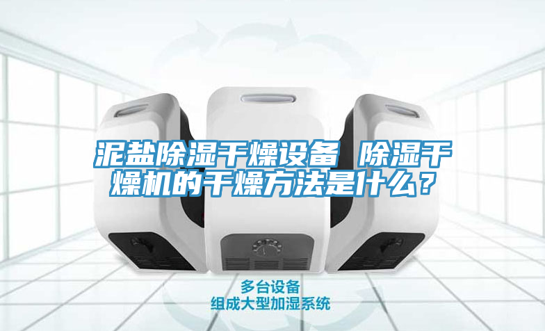 泥鹽除濕干燥設備 除濕干燥機的干燥方法是什么？