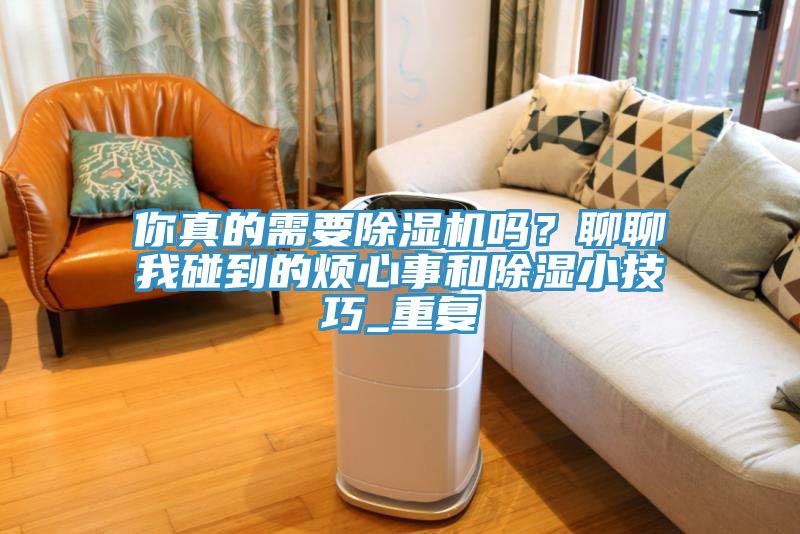 你真的需要除濕機嗎？聊聊我碰到的煩心事和除濕小技巧_重復