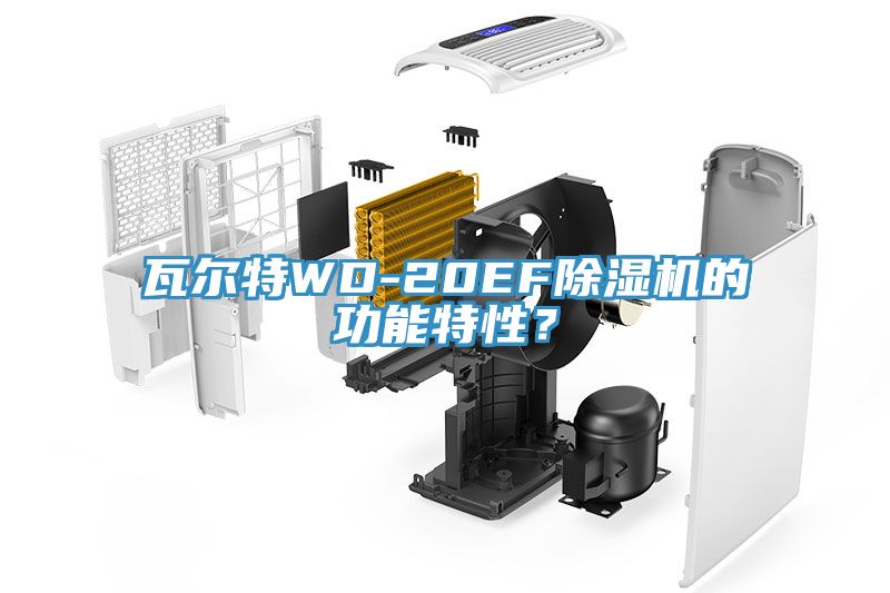 瓦爾特WD-20EF除濕機的功能特性？