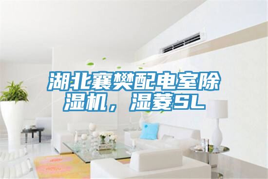 湖北襄樊配電室除濕機(jī)，濕菱SL