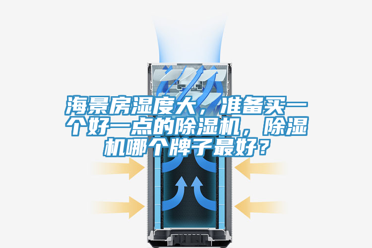 海景房濕度大，準(zhǔn)備買一個(gè)好一點(diǎn)的除濕機(jī)，除濕機(jī)哪個(gè)牌子最好？