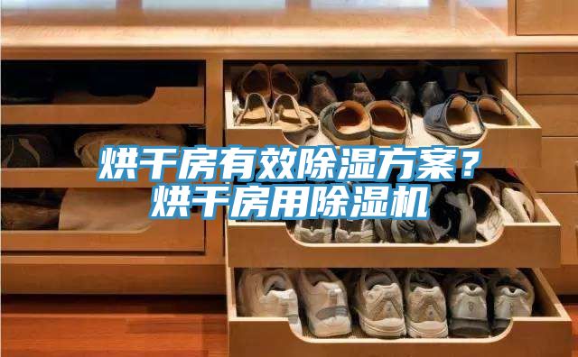 烘干房有效除濕方案？烘干房用除濕機(jī)