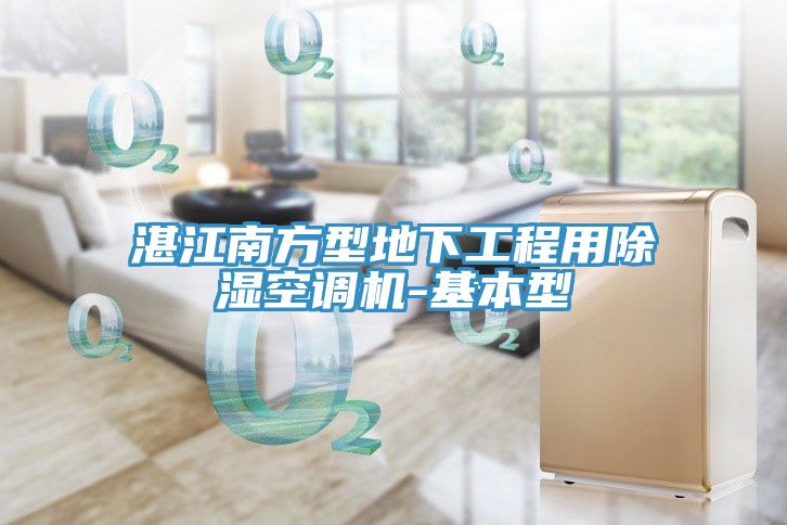 湛江南方型地下工程用除濕空調(diào)機-基本型