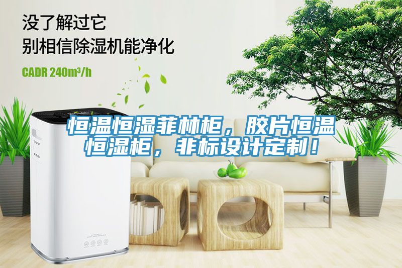 恒溫恒濕菲林柜，膠片恒溫恒濕柜，非標(biāo)設(shè)計(jì)定制！