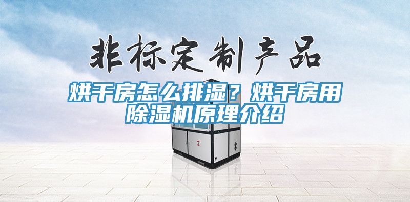 烘干房怎么排濕？烘干房用除濕機(jī)原理介紹