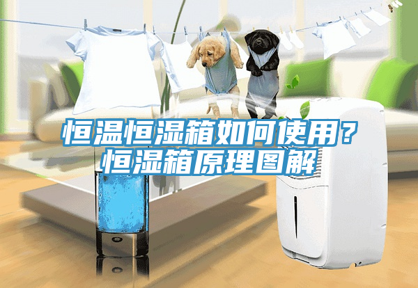 恒溫恒濕箱如何使用？恒濕箱原理圖解