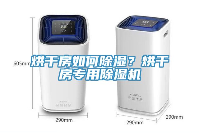 烘干房如何除濕？烘干房專(zhuān)用除濕機(jī)