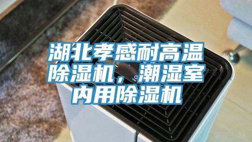 湖北孝感耐高溫除濕機(jī)，潮濕室內(nèi)用除濕機(jī)