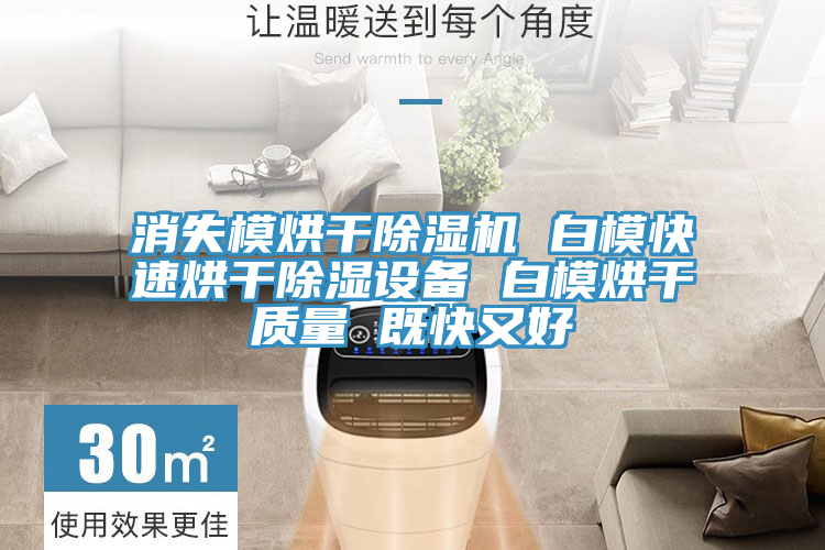 消失模烘干除濕機(jī) 白?？焖俸娓沙凉裨O(shè)備 白模烘干質(zhì)量 既快又好