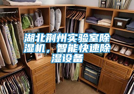 湖北荊州實(shí)驗(yàn)室除濕機(jī)，智能快速除濕設(shè)備