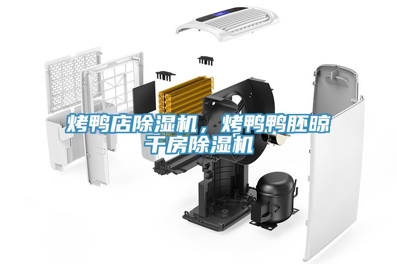 烤鴨店除濕機，烤鴨鴨胚晾干房除濕機