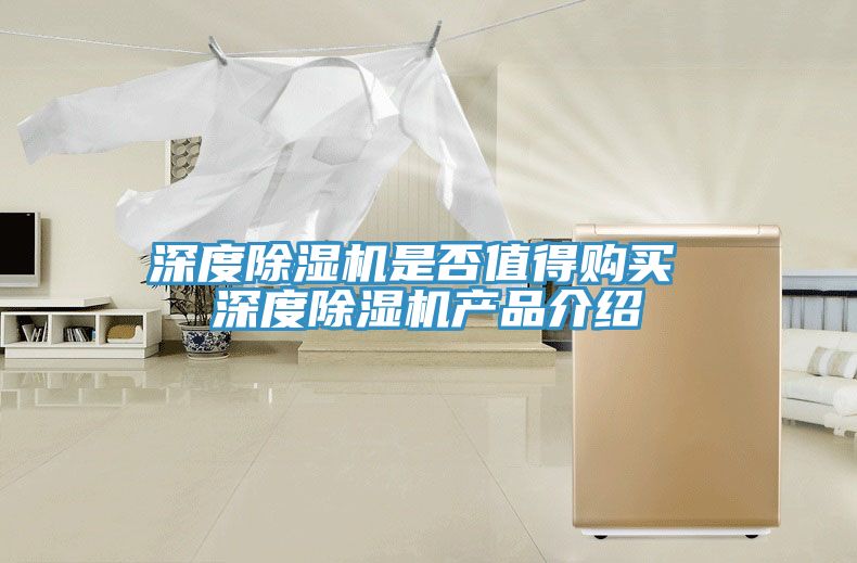 深度除濕機(jī)是否值得購(gòu)買(mǎi) 深度除濕機(jī)產(chǎn)品介紹