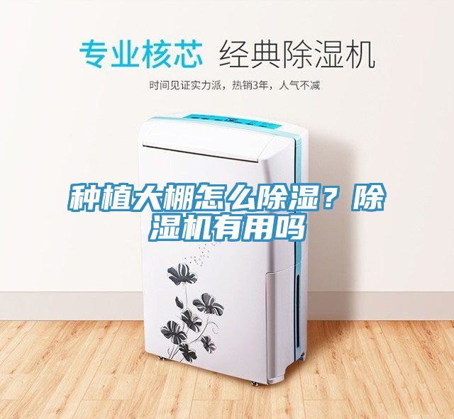 種植大棚怎么除濕？除濕機(jī)有用嗎