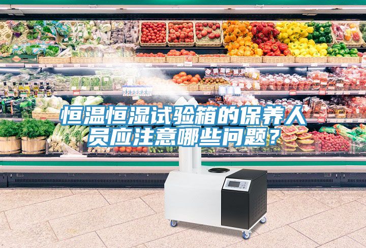 恒溫恒濕試驗(yàn)箱的保養(yǎng)人員應(yīng)注意哪些問(wèn)題？